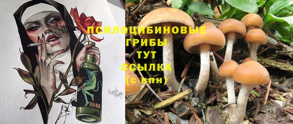 меф Дмитров
